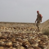 Civilian casualties mount due to landmines in Yemen: UN