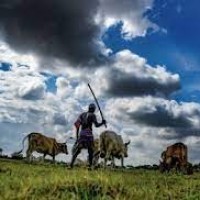 21L UP farmers ineligible for Kisan Nidhi scheme, recovery underway