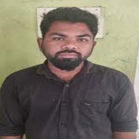 Youth arrested in TN for advertising sale of tigers