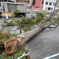 Powerful typhoon lashes Japan's Okinawa islands through weekend, evacuation ordered