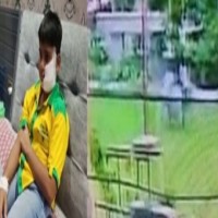 Ghaziabad Shocker: Pitbull bites 10-yr-old boy, child gets 150 stitches