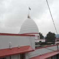 Submit report on 'police encounters' by Nov 14: HC to Assam govt