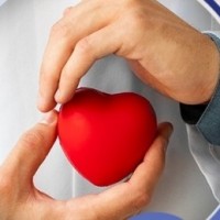 250 screened in heart checkup camp in Shimla