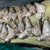 Punjab Police bust inter-state weapon smuggling module