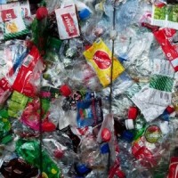 Aus state rolls out 4-bin recycling system to reduce landfill