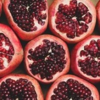 Indian agri scientists complete genome sequencing of pomegranate