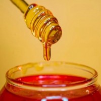 Manuka honey may help cure drug-resistant lung infection