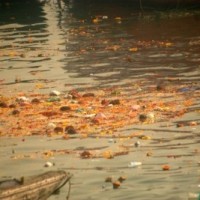 NGT seeks to reduce pollution in Ganga from tanneries in realistic manner
