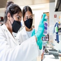 Indian-origin researcher develops antiviral therapy that block Covid transmission