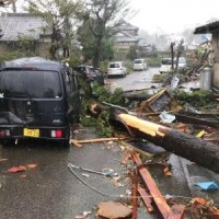Typhoon Muifa brings torrential rain, winds to Japan's Okinawa