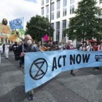 One environment activist killed every two days globally: Report