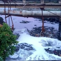 NGT on Kerala water pollution: 'Crime against humanity', 'victims poor, voiceless'