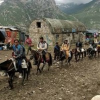 NGT seeks action plan from J&K Chief Secy over safety norms for Amarnath pilgrims