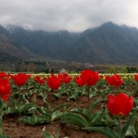 Cloudy sky, light rain at isolated places likely in J&K