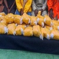 Assam Police seize drugs worth Rs 160 cr