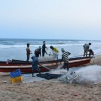 Eight TN fishermen arrested by Sri Lankan Navy