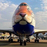 Special flight with 8 cheetahs to land in Gwalior, not Jaipur