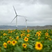 Egypt urges world to 'act now' as it sets out COP27 vision