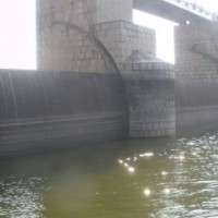 Pambar dam in TN drains to half after shutter snaps