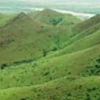 'Say no to mining in Kappatagudda forest', K'taka BJP MLC tells CM Bommai