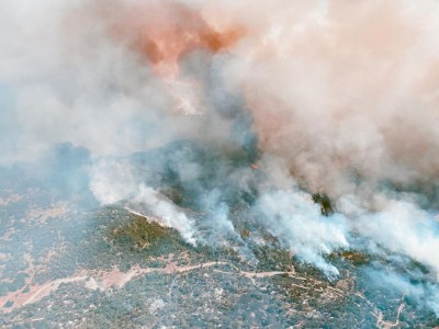 Wildfires surrounding California's sequoia groves spread to almost 40K acres Wildfires surrounding California's sequoia groves spread to almost 40K acres