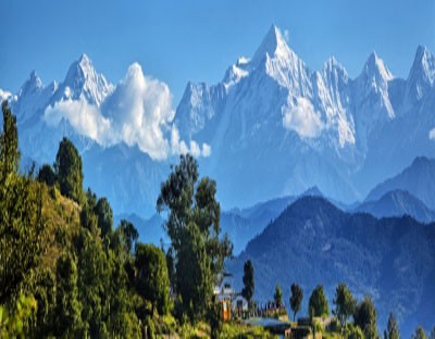 World closer to landmark UN biodiversity framework World closer to landmark UN biodiversity framework