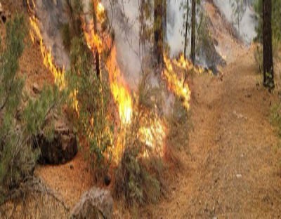 Extreme wildfire in California prompts multiple mandatory evacuations Extreme wildfire in California prompts multiple mandatory evacuations
