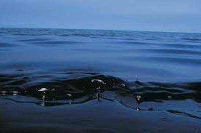 Marine oil-spill: IIT Guwahati researchers develop cotton that selectively absorbs oil Marine oil-spill: IIT Guwahati researchers develop cotton that selectively absorbs oil