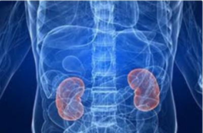 Kidney damage is silent killer in Covid patients, say USA's top docs Kidney damage is silent killer in Covid patients, say USA's top docs