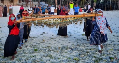 Lakshadweep turns to seaweed farming to facilitate development Lakshadweep turns to seaweed farming to facilitate development