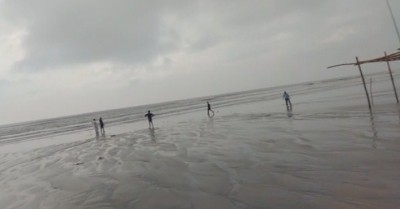 Cyclone impact: Crops over 1.56 lakh acres damaged in Andhra Cyclone impact: Crops over 1.56 lakh acres damaged in Andhra