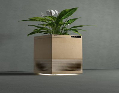 Indian scientists develop plant-based air purifier Indian scientists develop plant-based air purifier