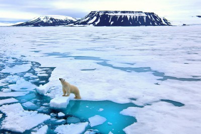 Ahead of COP26, TERI to host Adaptation Futures Conference from Oct 5 Ahead of COP26, TERI to host Adaptation Futures Conference from Oct 5