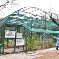 Lucknow Zoo shuts bird enclosure after bird flu scare