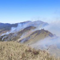 Massive fire at famous Dzukou Valley in northeast