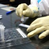 High Covid deaths among docs due to poor doctor-patient ratio, inadequate PPE