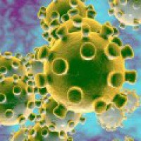South Asians most likely to die of COVID-19 in UK hospitals