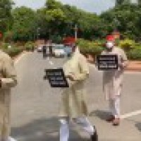 Opposition MPs protest in Parliament complex