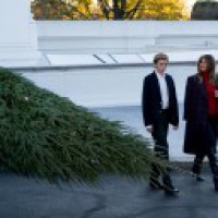 Melania Trump slams scholar for mentioning son in impeachment hearing
