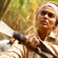 Ananth Mahadevan's 'Bittersweet' in competition at Kolkata film fest
