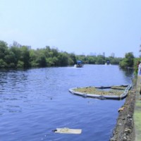 Not a single rupee from Centre for Mithi River clean-up: RTI