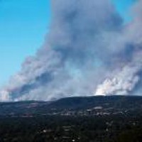 Aus, NZ players to pay tribute to personnel fighting bushfires