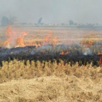 India needs more than laws to stamp out farm fires