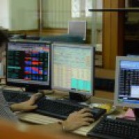 'Mother of bull run' predicted early next year