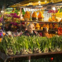 HKTB launches virtual event ahead of CNY to promote Hong Kong tourism