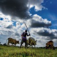 Agri items' exports during April-Sept increase 43.4%