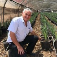 Israel to export agricultural produce to UAE