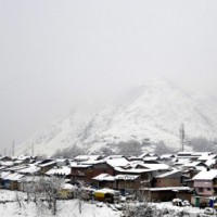 All 20 districts in J&K declared as 'Green Zone'