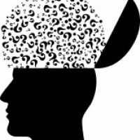Abnormal proteins in the gut linked to Alzheimer's Disease