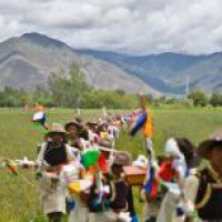 Cultural heritage celebrated at harvest festival in China